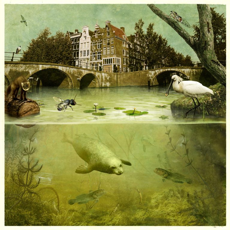 Green city of Amsterdam