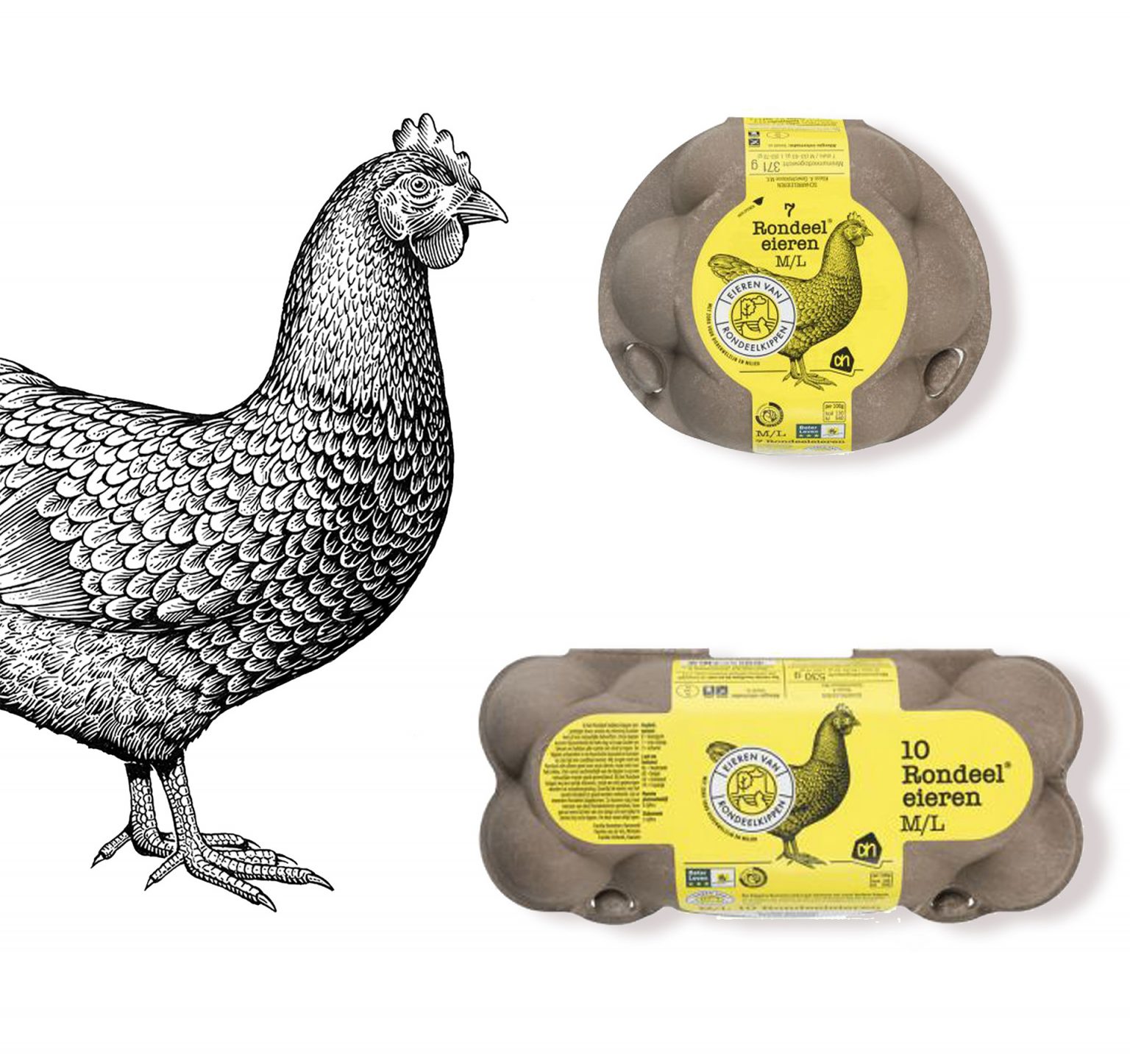 Albert Heijn Rondeel eggs Art Associates Amsterdam