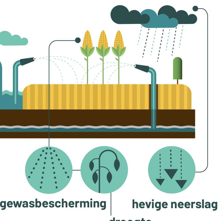 Vitens website-infographics