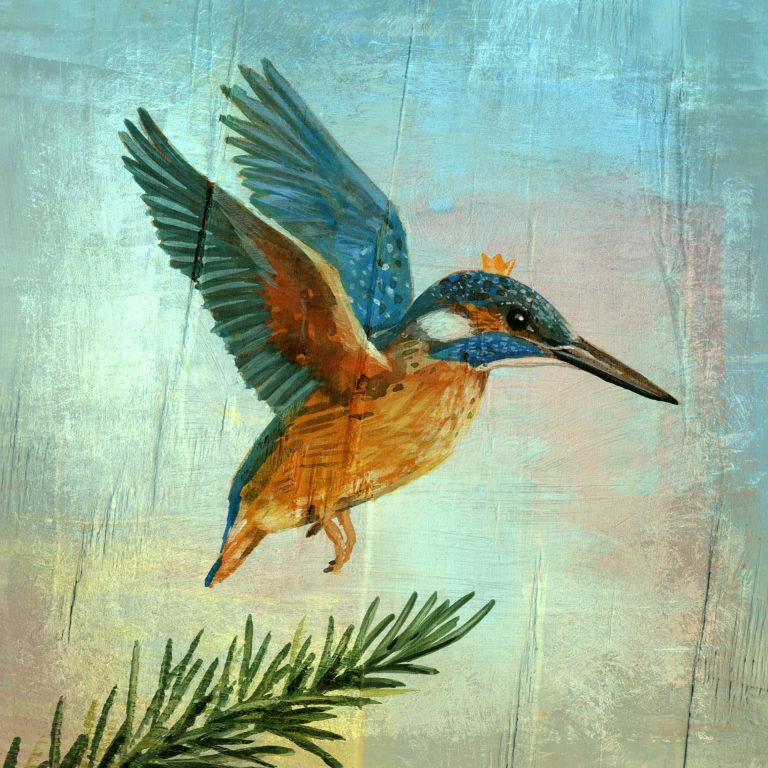 The Kingfisher