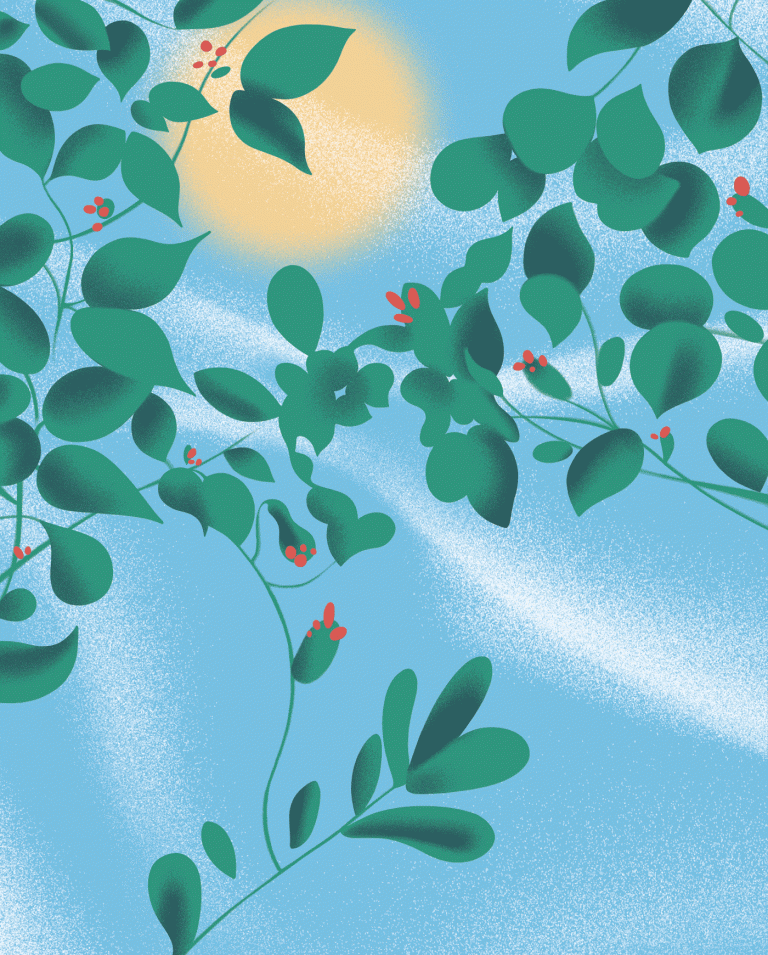 Civilisation in Balance