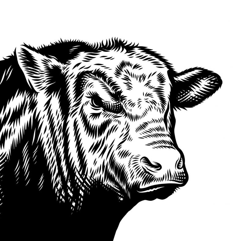 Murals Landgoed Heerdeberg