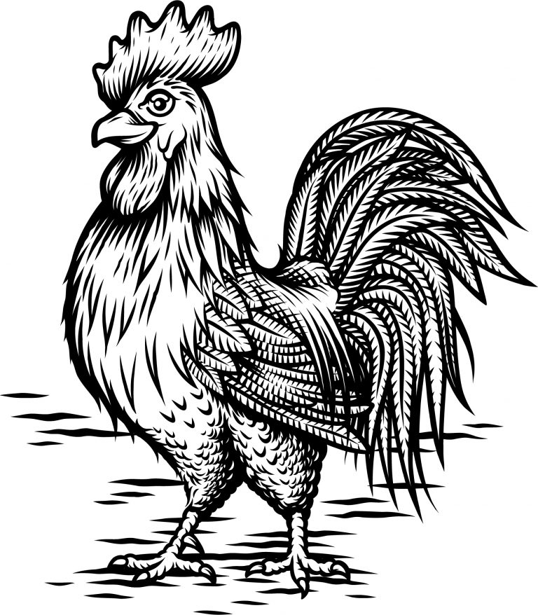 Rooster’s Restaurant Mural