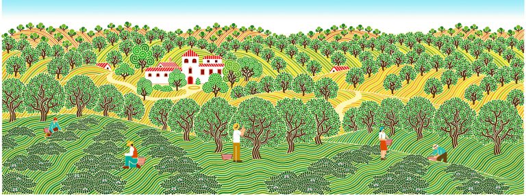 La Pedriza olive oil