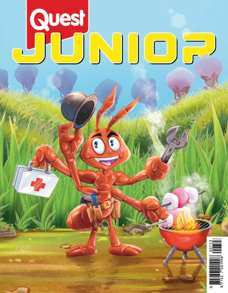 Quest Junior