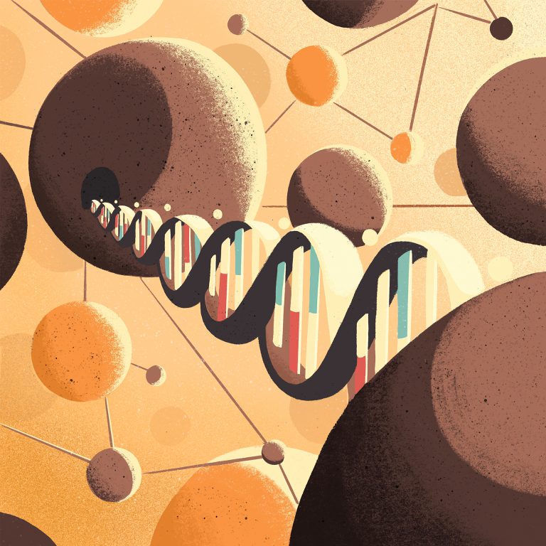Human Brain Mapping Journal