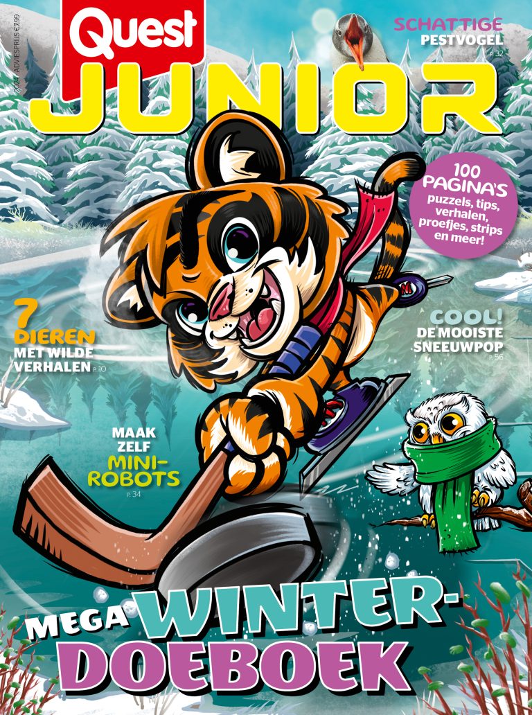 Quest Junior Winterbook