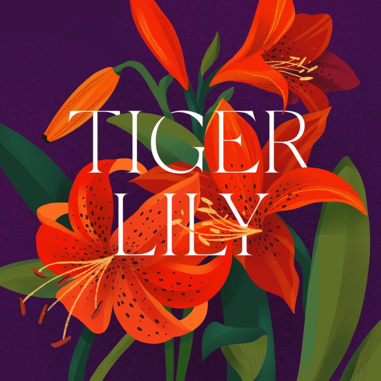 Tiger Lily