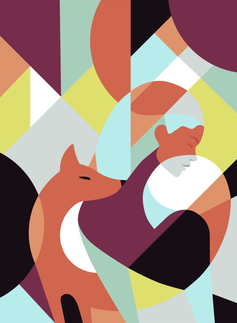 A series of fabric patterns