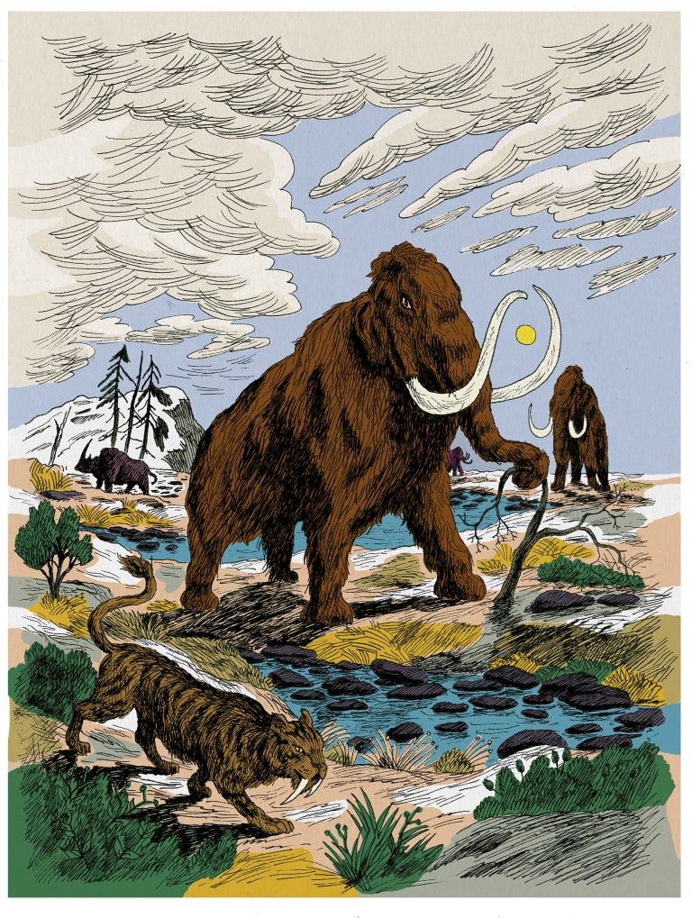 From Aelmere to Almere