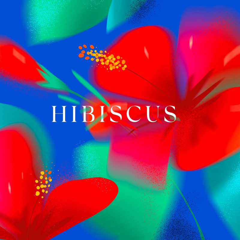 ArtAssociates_Irina-Kiro-Hibiscus ArtAssociates_Irina-Kiro-Hibiscus